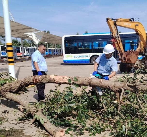 公交公司迅速響應(yīng)災(zāi)后清障工作，全力以赴恢復(fù)車輛運(yùn)營(yíng)